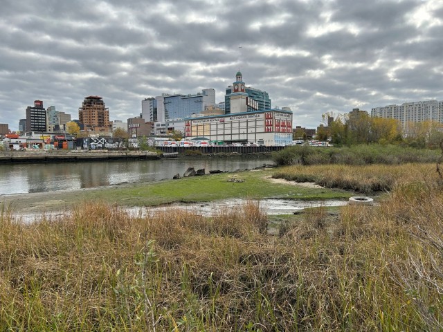 Restoring NY-NJ Estuary will create breathtaking views and more
