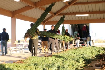 FORT HUACHUCA, Ariz. – The Directorate of Family, Morale, Welfare & Recreation (DFMWR) with the help of volunteers provided Christmas trees and holiday...