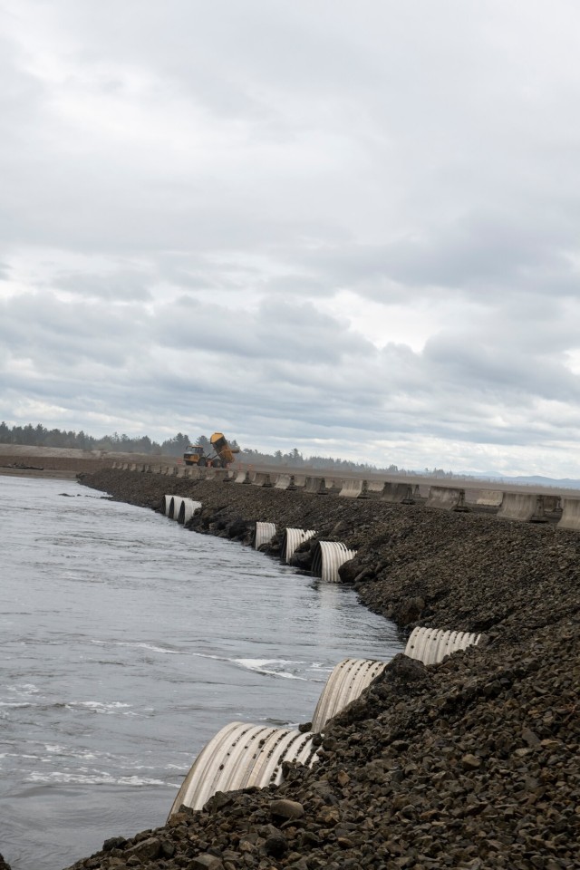 USACE Partnership Restores Shoalwater Bay Dune