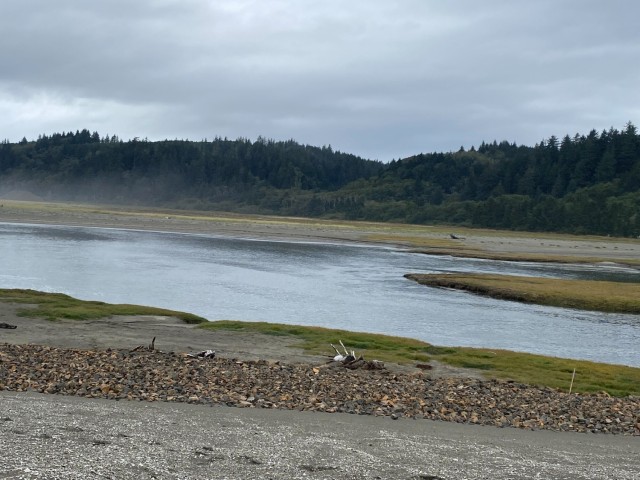 USACE Partnership Restores Shoalwater Bay Dune