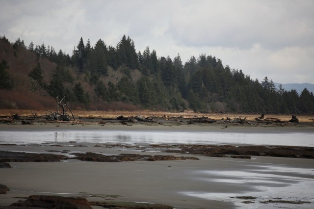 Commitment to tribal partners restores Shoalwater Bay Dune, protects Shoalwater Bay Tribe