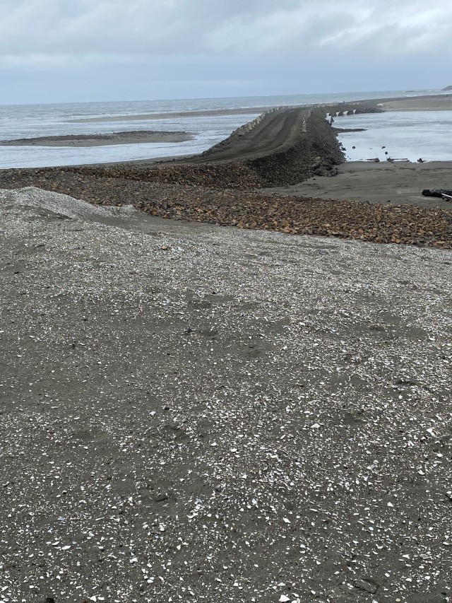 Commitment to tribal partners restores Shoalwater Bay Dune, protects Shaolwater Bay Tribe