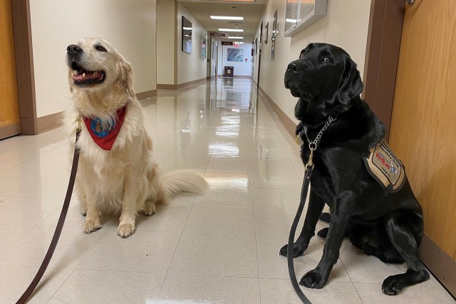 Earl with Cooper