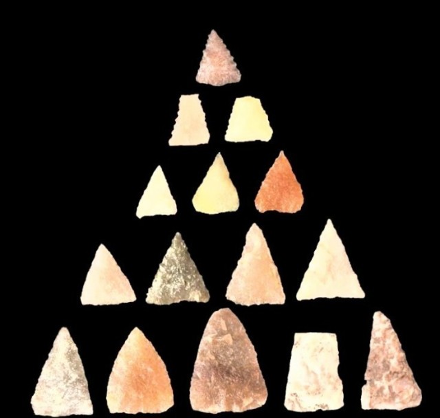 Examples of Madison Triangular Points found in archaeological digs at Fort McCoy are shown Sept. 23, 2022, at Fort McCoy, Wis. These arrowheads first appear in the archaeological record about 1,200 years ago (A.D. 800) during the Late Woodland...