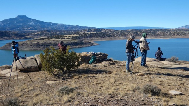 More than 40 volunteers count eagles at annual Abiquiu Lake event