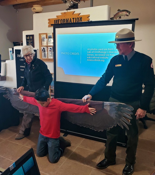 More than 40 volunteers count eagles at annual Abiquiu Lake event