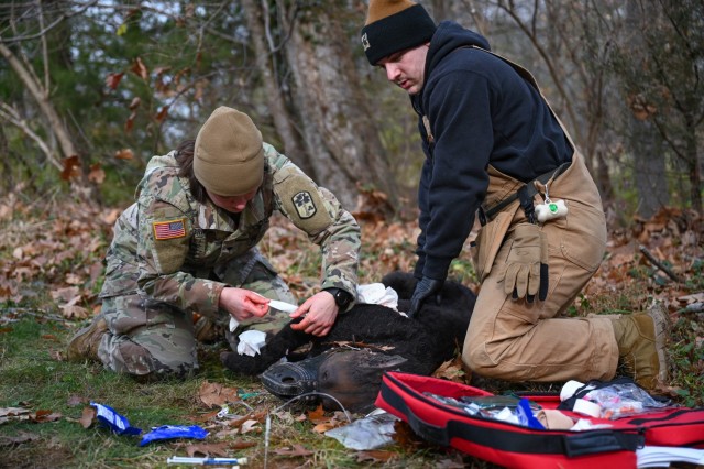 A pair of medical professionals preform their K9TCCC test on a simulated working dog during one of the training events at the Fort Belvoir Veterinary Center. The training is also available to all branches’ medical personnel as well as some DoD agencies.