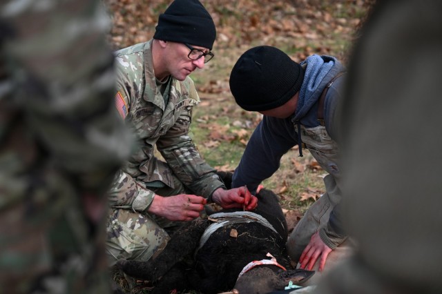 A pair of medical professional practice chest-needle decompression on a simulated working dog during one of the canine tactical combat casualty care training events at the Fort Belvoir Veterinary Center. This two-day K9TCCC training has only been held at Fort Belvoir and at Fort Meade. 