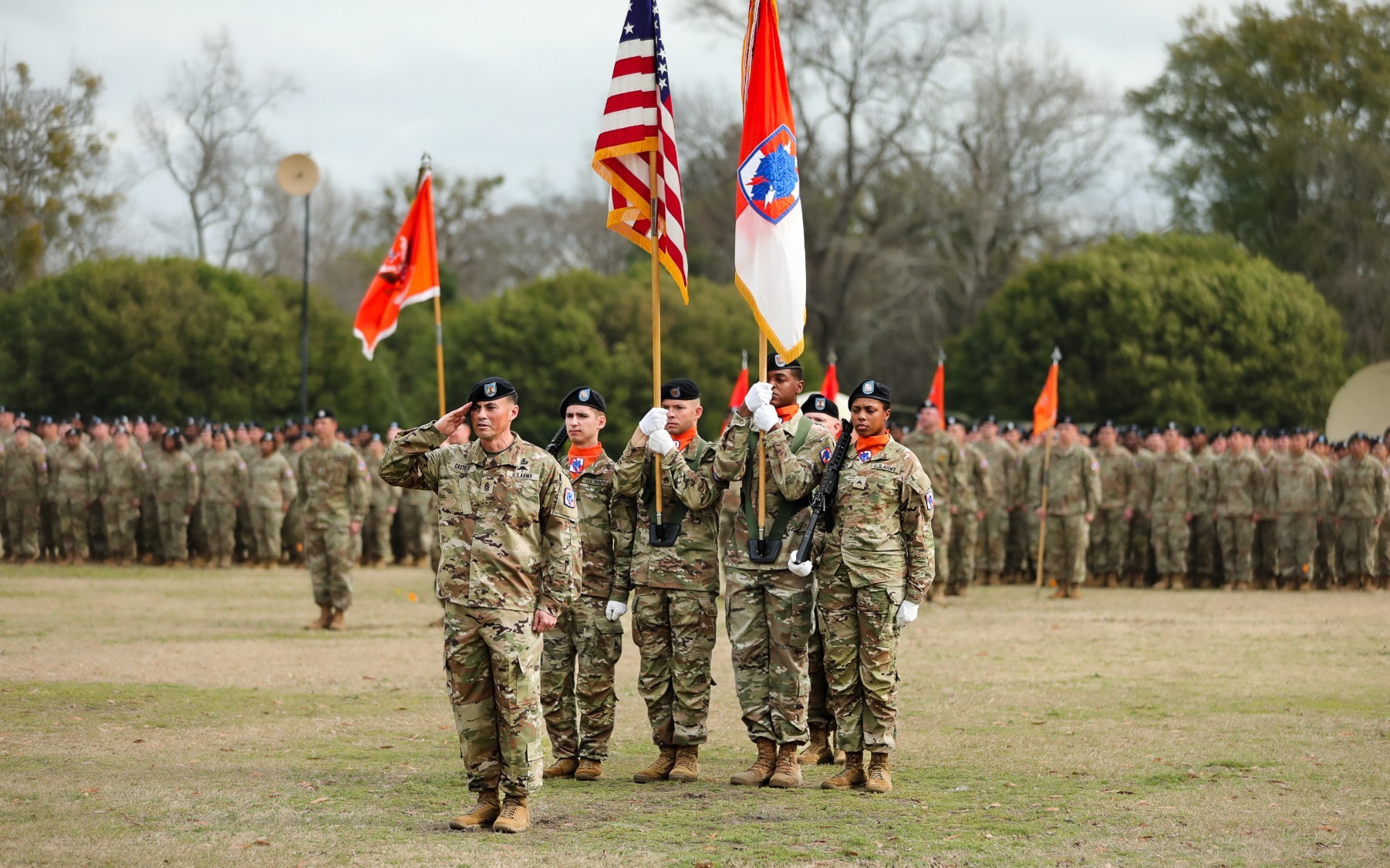 Lion 7 signing off | 35th Corps Signal Brigade says goodbye to Towns ...