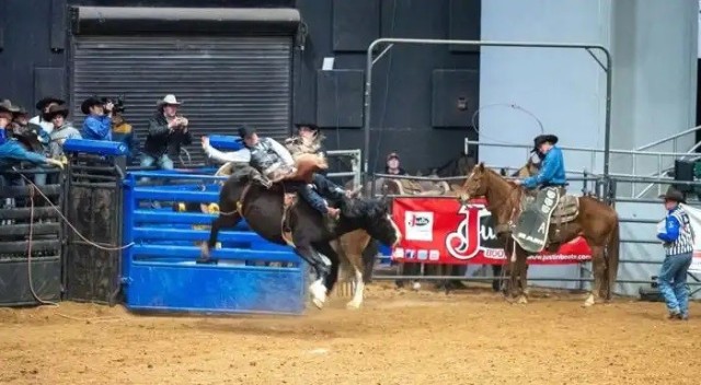Bronco Bustin'