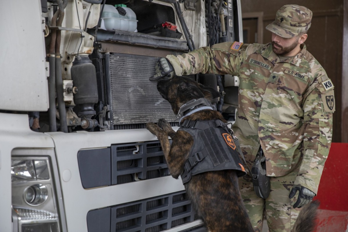 From fear to love: a military working dog’s story | Article