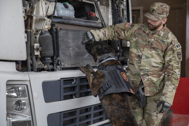 Military working dog and his handler clear vehicles at check point