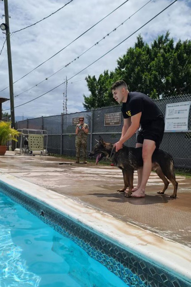 Beltran and Bigi also conducted aggression training at the pool. During the training, an individual wears a bite wrap and keeps moving away from the dog. Bigi is then supposed to keep pursuing in the water.