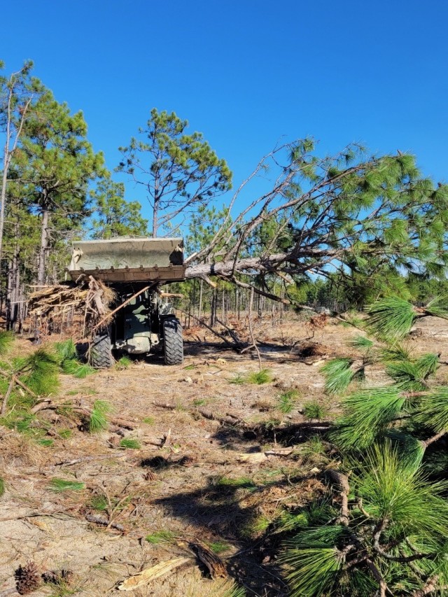 The 10th Marine Regiment Engineers stationed out of Camp Lejeune, North Carolina, clear debris impacting artillery firing positions, Feb. 22. The Integrated Training Area Management and Range Control Office formed a partnership with the 10th...