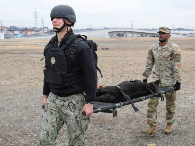 A life-like animatronic dog is carried on a litter during a K-9 tactical combat casualty care exercise at Sagami General Depot, Japan, Feb. 24, 2023. The three-station course simulated a military working dog being wounded while on a dismounted patrol. 