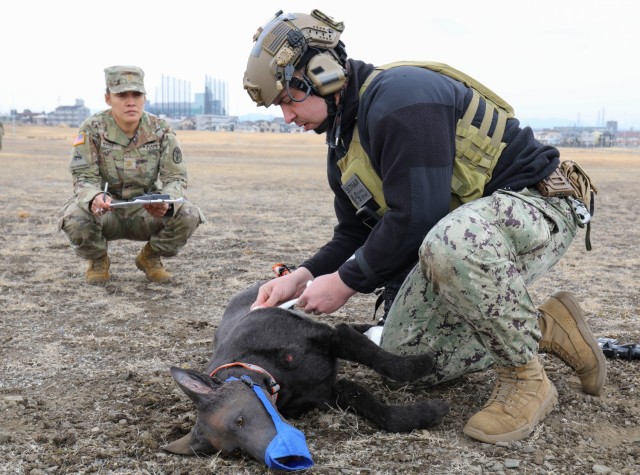 Petty Officer 2nd Class Jon Siltman, right, a military dog handler at Naval Air Facility Atsugi, treats wounds on a life-like animatronic dog during a K-9 tactical combat casualty care exercise at Sagami General Depot, Japan, Feb. 24, 2023.