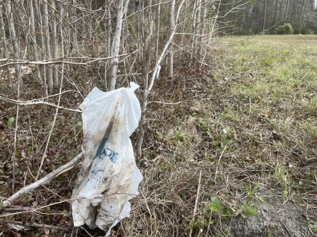 Plastic material is caught in a tree along a popular walking trail on Fort Stewart, Georgia. Youth volunteers spent the day cleaning trash along the trail in an effort to protect area wildlife and keep the installation beautiful. (Photo by Ali Portis)