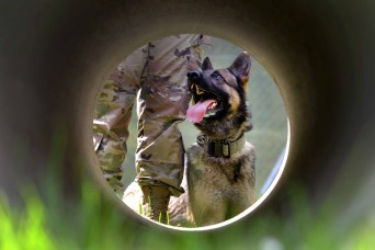 Military Working Dog makes mark on Enterprise Access Management Service-Army page
