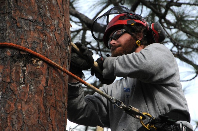 Matt Christiansen, Fort Polk ENRMD, removes a nesting box from  a tree on Fort Polk.