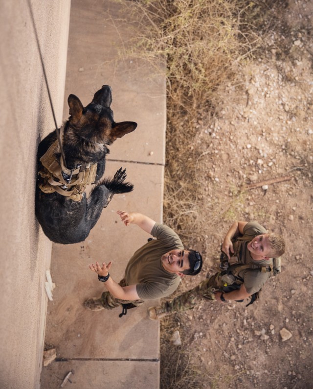 Rappelling exercise