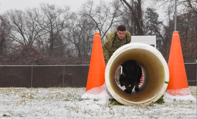 Spc. Joseph J. Lane and Military Working Dog Nick