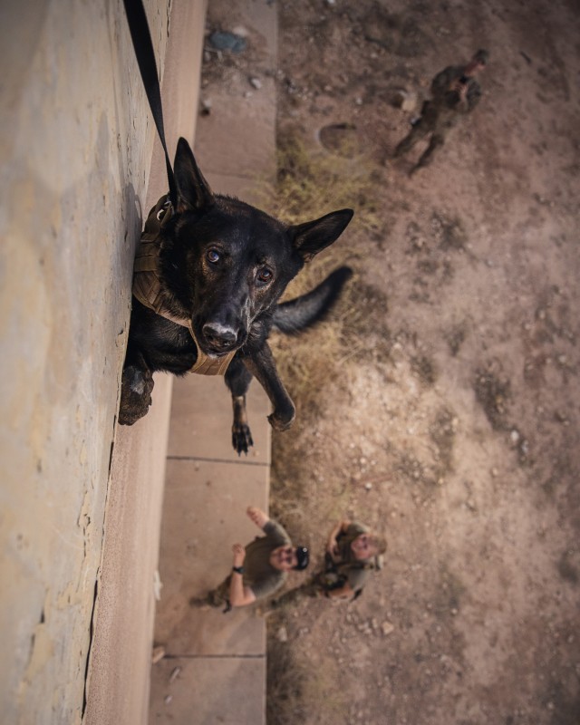 Rappelling exercise