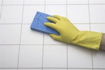 Cleaning, preventing mold in living spaces