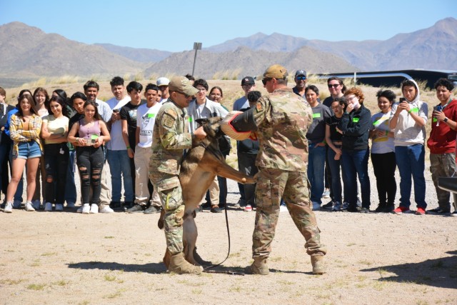 Enrichment Day Military Working Dog