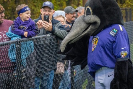 Ravens Honor Military Through Salute to Service Efforts