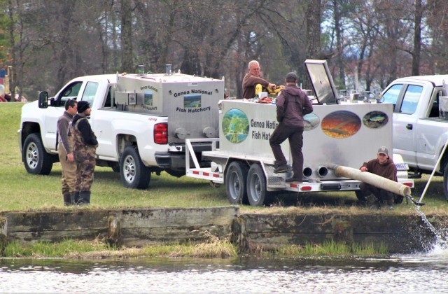 USFWS Plants 15,000-plus Rainbow Trout At Fort McCoy For 2023 Fishing ...