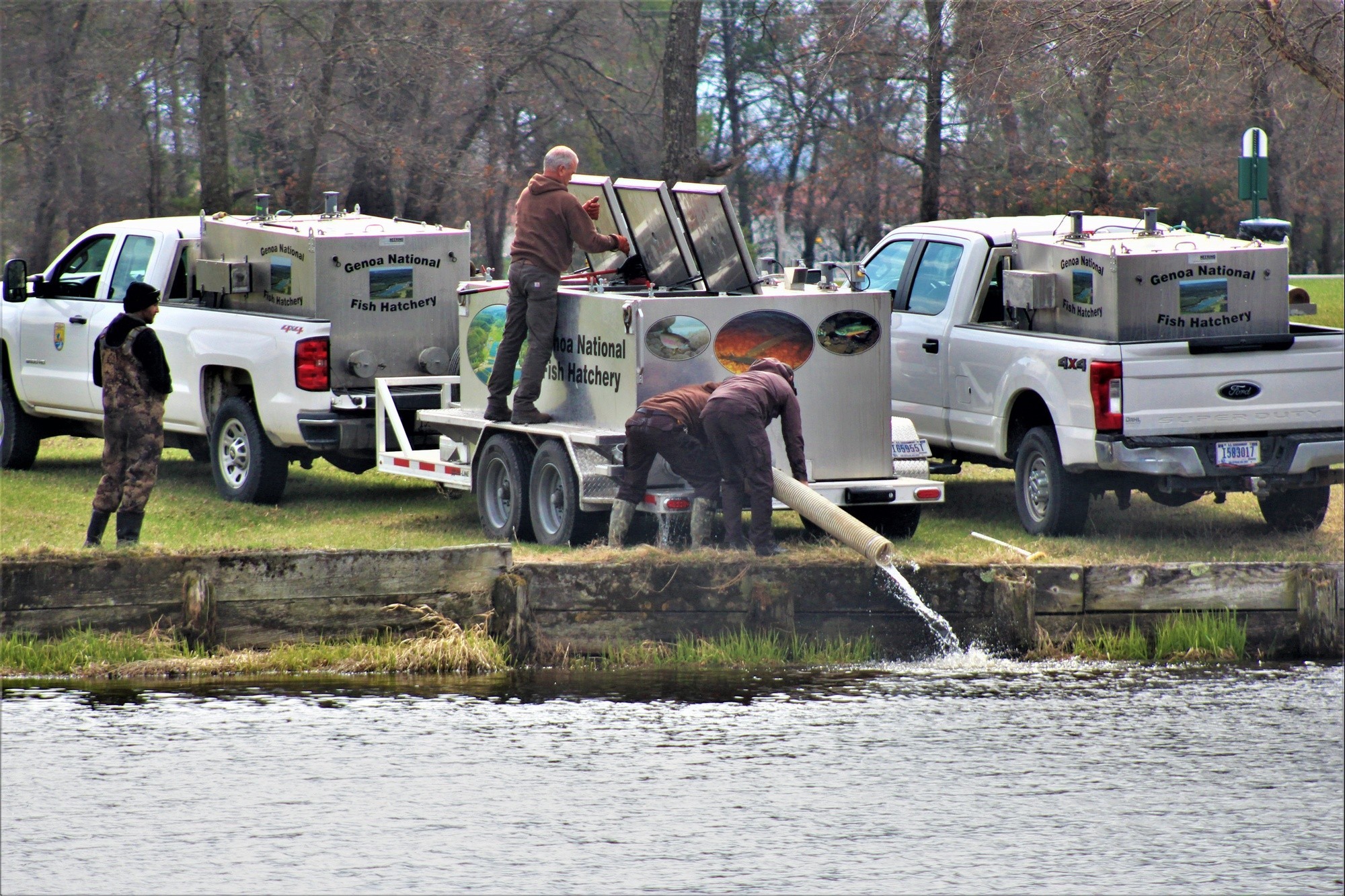 Annual fish stocking at Fort McCoy helps maintain fish populations for ...