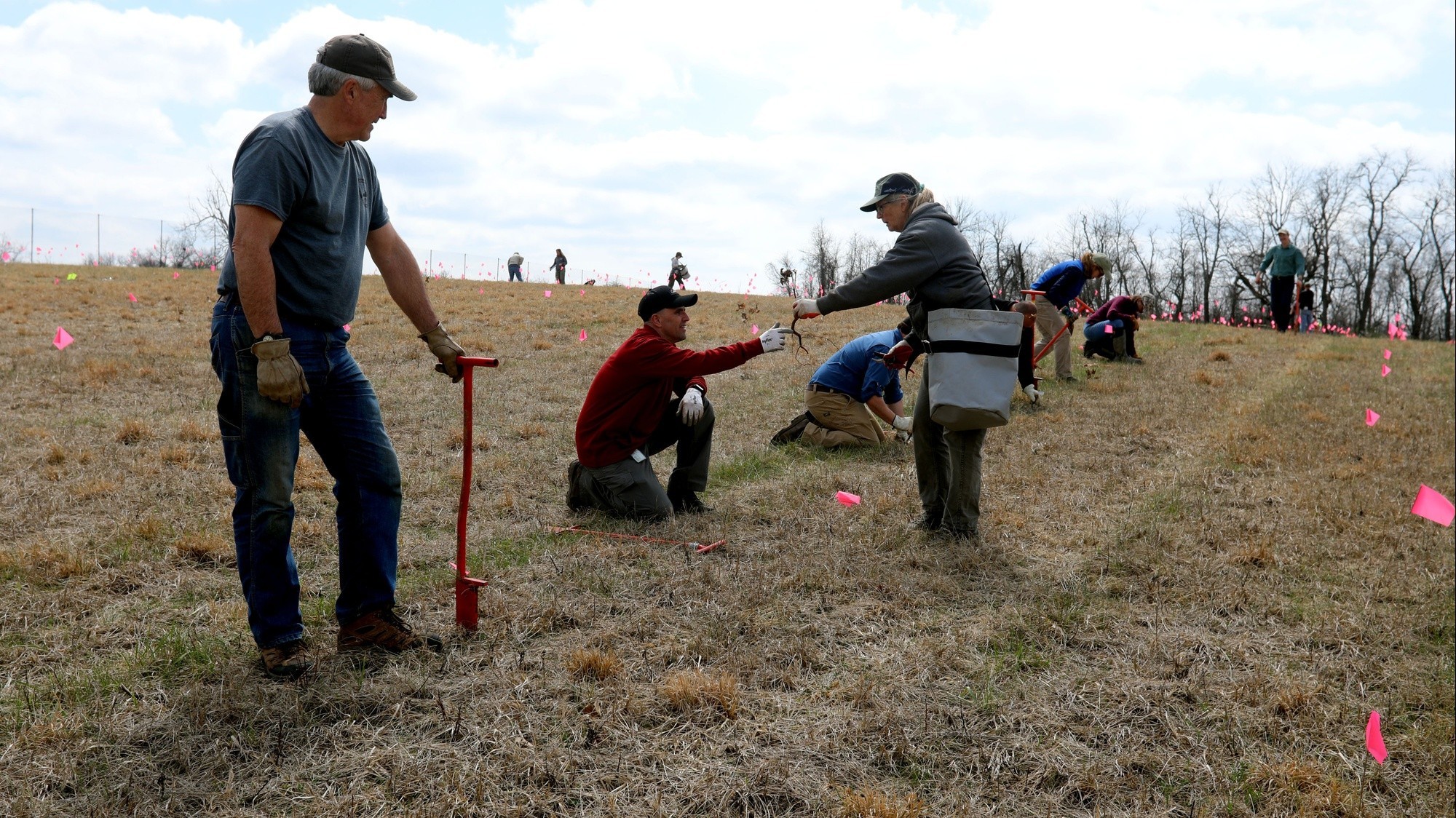 Blue Grass Army Depot Plants White Oak Trees In Progeny Testing Site ...