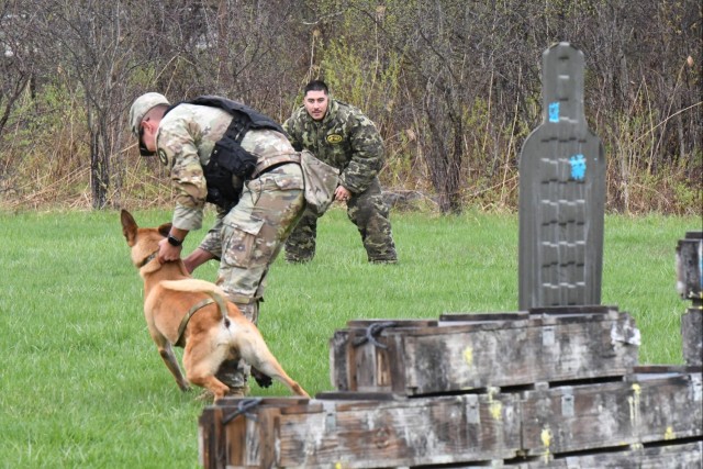 Military working dog teams compete for Top Dog honors at Fort Drum