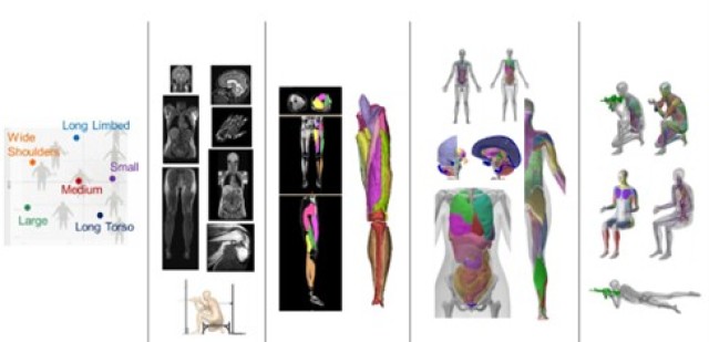 From left to right: anthropometrics and population data, internal and external scan data, segmentation maps and recreation of a human, detailed computer-aided design representations, and posable geometry. Initial dataset provided by WFU CIB. 
