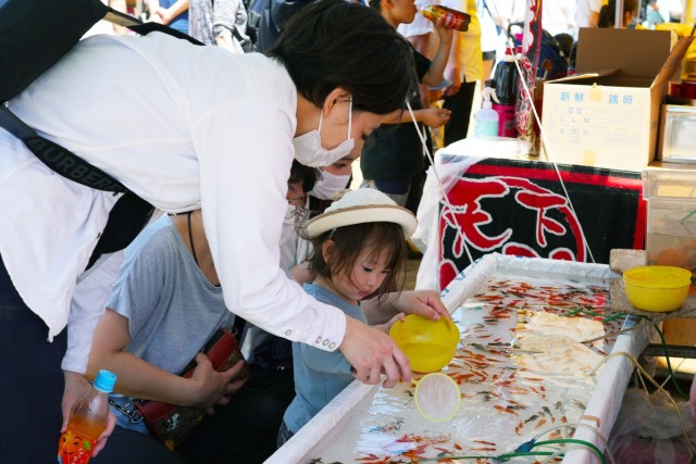 &#39;Giant Kite festival&#39; takes flight at Sagamihara