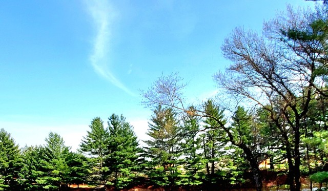 Fort McCoy’s Suukjak Sep Lake continues to be an easily accessible place of beauty at post’s Pine View Recreation Area