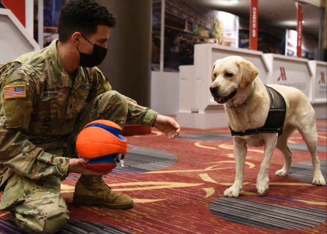 Service Dog visits with New York National Guard Soldier