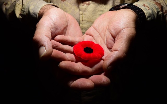 A Canadian Forces member celebrates Remembrance Day Nov. 11, 2015 at an undisclosed location in Southwest Asia. For days leading up to Remembrance Day, Canadian service members pin a poppy flower to their uniform. The poppy symbol gained popularity following the publication of the poem &#34;In Flanders Fields,&#34; written by Canadian Lt. Col. John McCrae. In the poem McCrae describes poppies growing in Flanders Fields atop the graves of fallen soldiers during World War I.