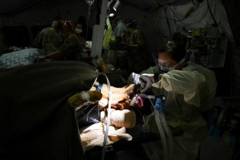 MTEAC conducts test of veterinary anesthesia apparatus on military working dogs