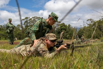Through shared culture, Soldiers build interoperability, teamwork