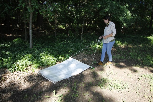 RAHC Environmental Health Tech Noelle Winburn conducts a tick drag in a wooded area of Fort Sill.