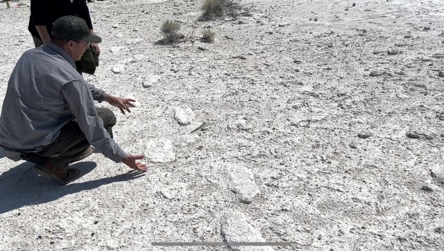 Japanese show films fossilized footprints at White Sands Missile Range