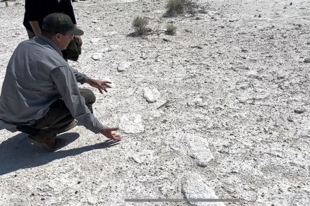 その他 FaB Phantasmal Footsteps Japanese show films fossilized footprints at White Sands Missile