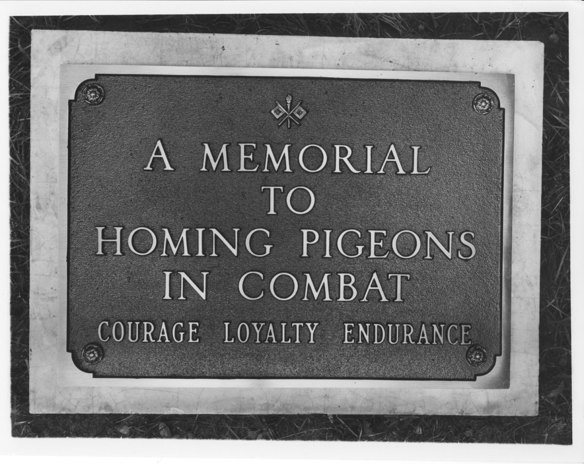 Honoring Those Who Served Pigeon Memorial Article The United
