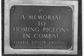 Honoring Those Who Served – Pigeon Memorial