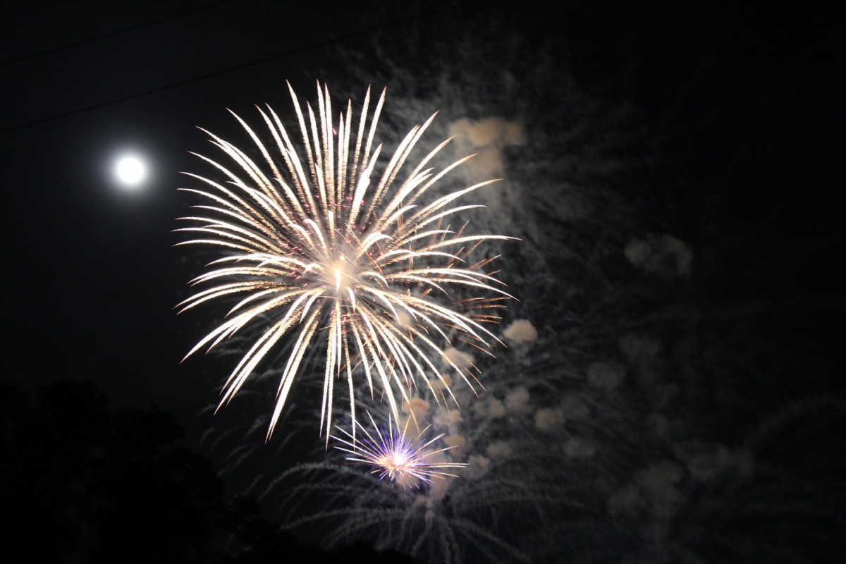 Fort Novosel celebrates nation's independence at Freedom Fest Article