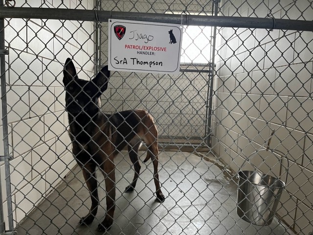 For Those Who “Lead the Way”: Kansas City District Designs New Military Working Dog Facility at McConnell Air Force Base