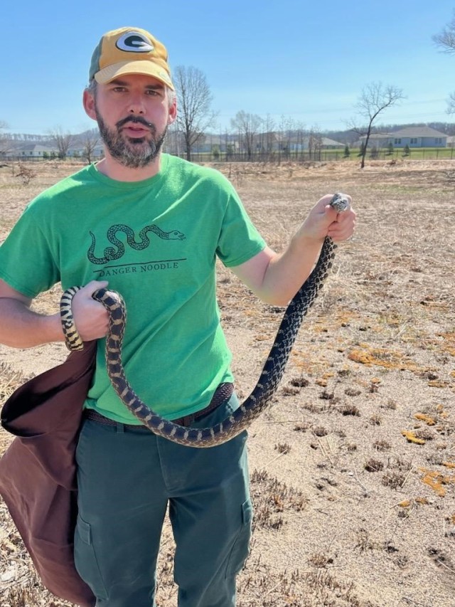 Jessup Weichelt, endangered species biologist at Fort McCoy caught a bull snake during a survey on the installation.  Surveys are used to determine the health of bull snakes on Fort McCoy.