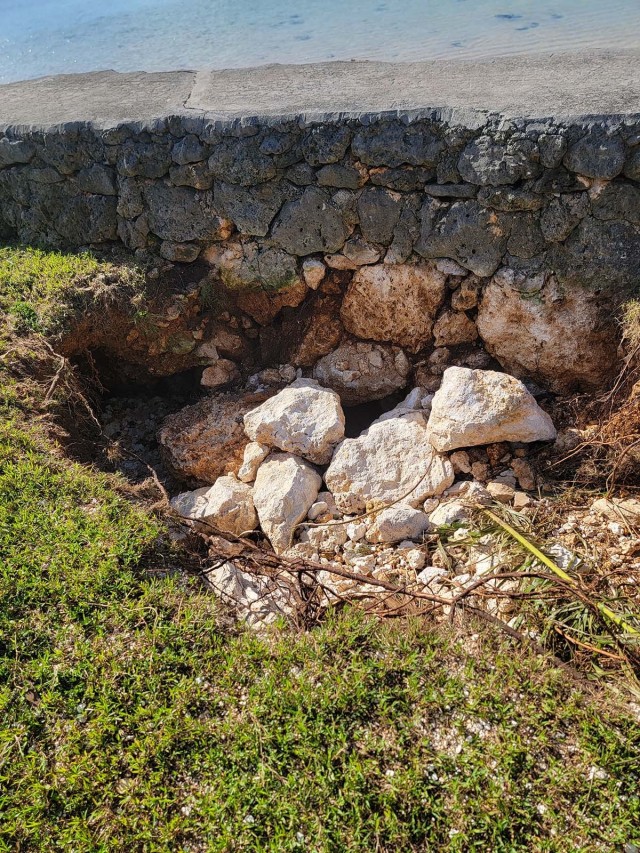 Erosion and undermining of the existing seawall built to protect the roadway is visible in within the study area.