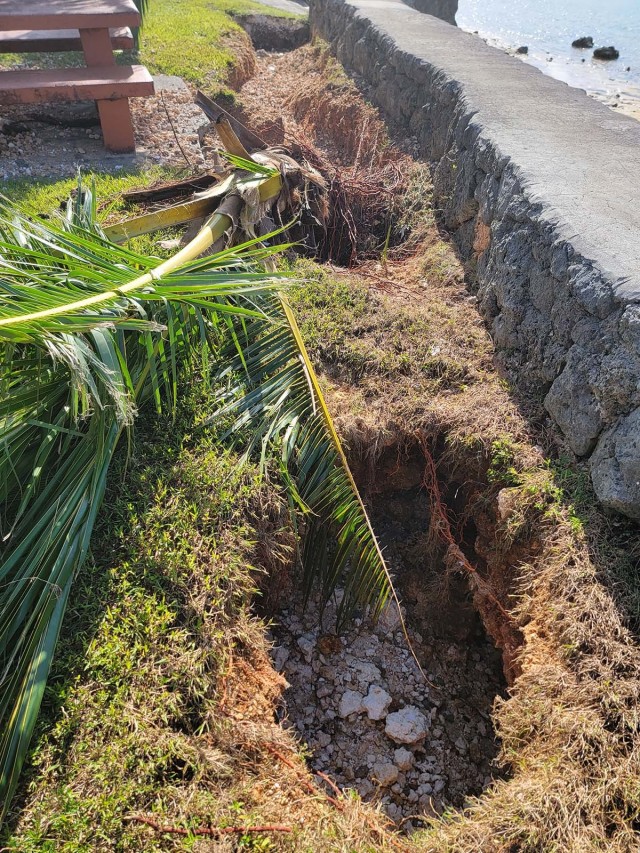 Erosion and undermining of the existing seawall built to protect the roadway is visible within the study area.